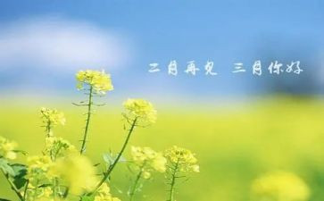 中班三月份的工作计划6篇