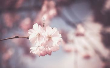 三月的工作总结8篇