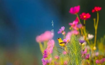 三月份物业工作计划8篇