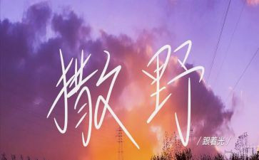 《撒野》的作文8篇