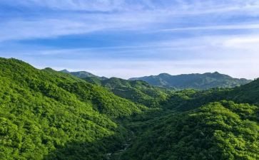 游黄山作文通用6篇