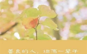 善良的小作文最新8篇