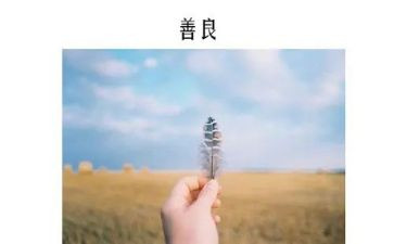 善的教育读后感通用6篇