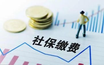 2024社保科工作总结优质6篇