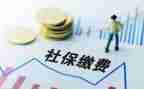 2024社保科工作总结优质6篇