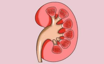 肾内科护理工作总结最新8篇
