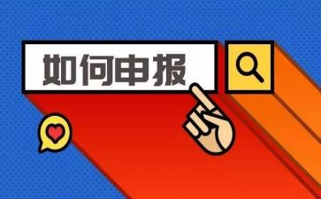 纳税申报实训心得体会7篇