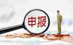 项目申报员工作总结8篇