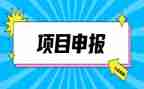 申报职称申请书范文6篇