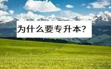 自我鉴定专升本范文优秀5篇