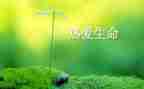 生命里的微感动作文600字7篇