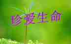 与生命有关的作文5篇