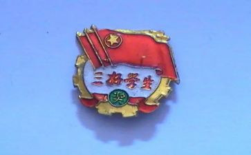 小学生评三好学生个人总结5篇