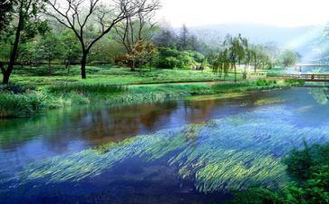 2024生态环保讲话稿5篇