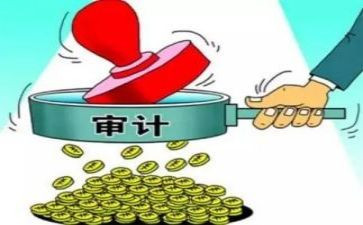 2024年审计个人总结最新7篇