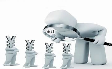 审计局向谁报告工作总结5篇