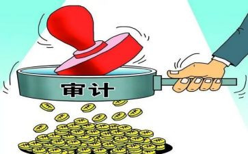 审计组工作计划模板7篇