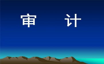 2024年审计个人总结参考5篇