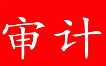 2024审计个人年终总结范文8篇