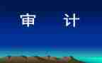 2024年审计个人总结参考5篇