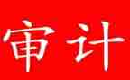 2024审计个人年终总结范文8篇