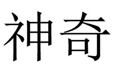 神奇的伞作文7篇