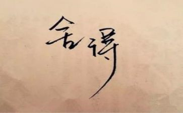 那一次的舍与得作文600字7篇