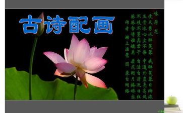 与诗有关的作文通用6篇