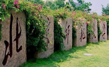 保育老师大班工作总结8篇