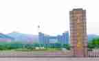 师范类小学调查报告6篇