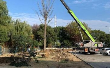 施工员年终总结和工作计划8篇