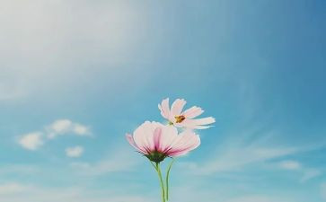 未来十年的作文6篇