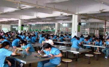 食堂个人总结最新6篇