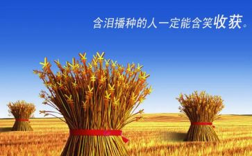收获季的作文600字精选7篇