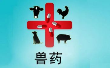 兽药工作总结8篇