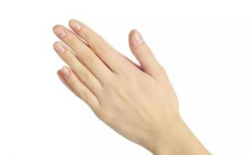 手指歌的教案优质6篇