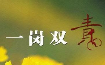2024年一岗双责述职报告7篇