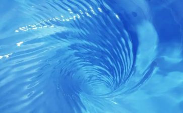写水果作文参考5篇