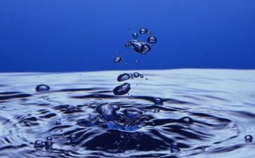水果歌心得体会5篇