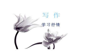 夏天抒情作文8篇