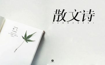 以花抒情的作文800字7篇