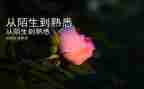 最熟悉的人作文400字8篇