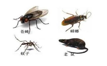 .除四害工作计划6篇
