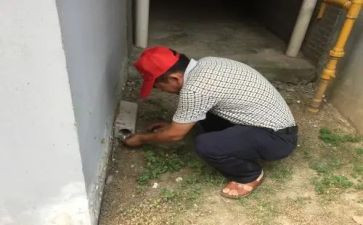 学校灭四害工作总结6篇