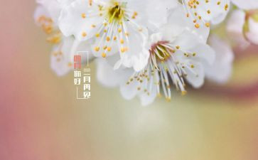 四月积极分子思想汇报5篇