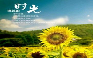 与岁月有关的作文8篇