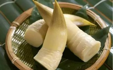 小班关于笋的教案推荐8篇