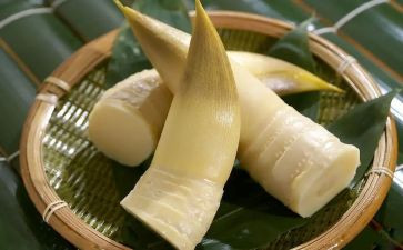 小班关于笋的教案优质6篇