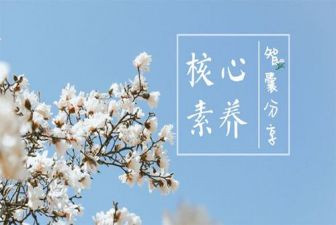 幼儿教师素养心得体会5篇