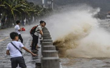 台风雨作文450优质5篇